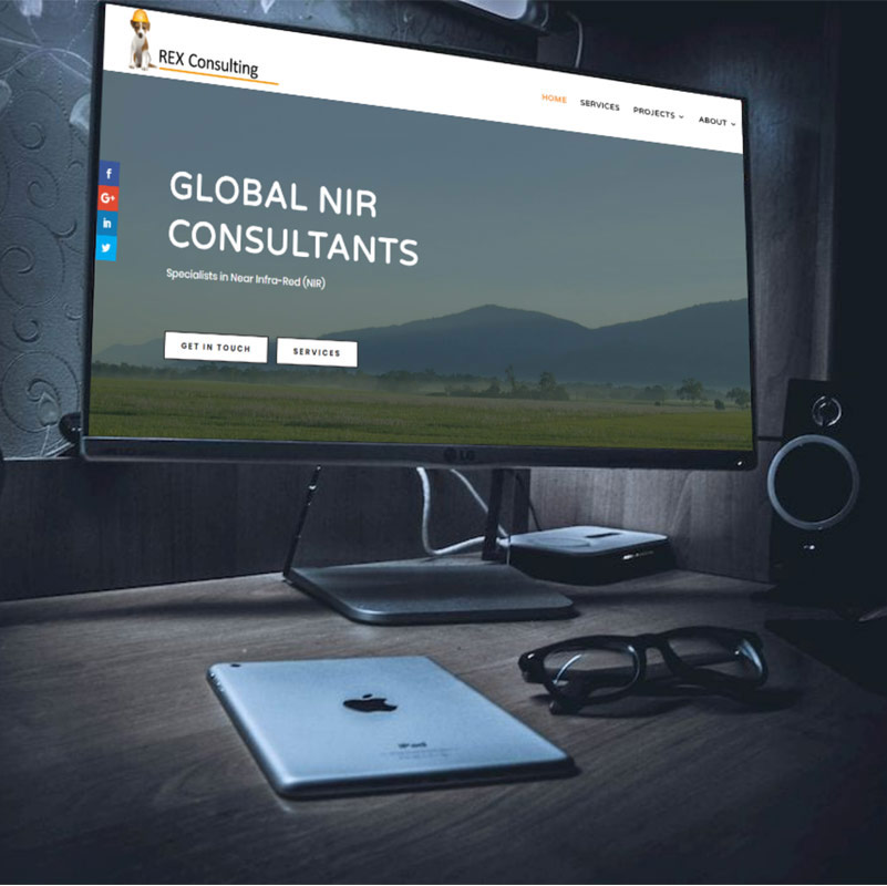 Rex Consulting – Global Near-Infra Red Consultants