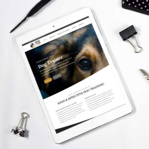 Taking The Lead – Dog Training